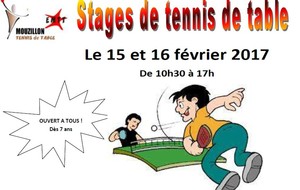 Stages de tennis de table