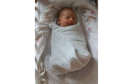 Carnet rose