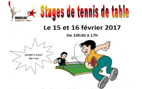 Stages de tennis de table
